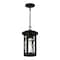 Quoizel Uma 1-Light Matte Black Mini Pendant UMA1508MBK - alternate 4